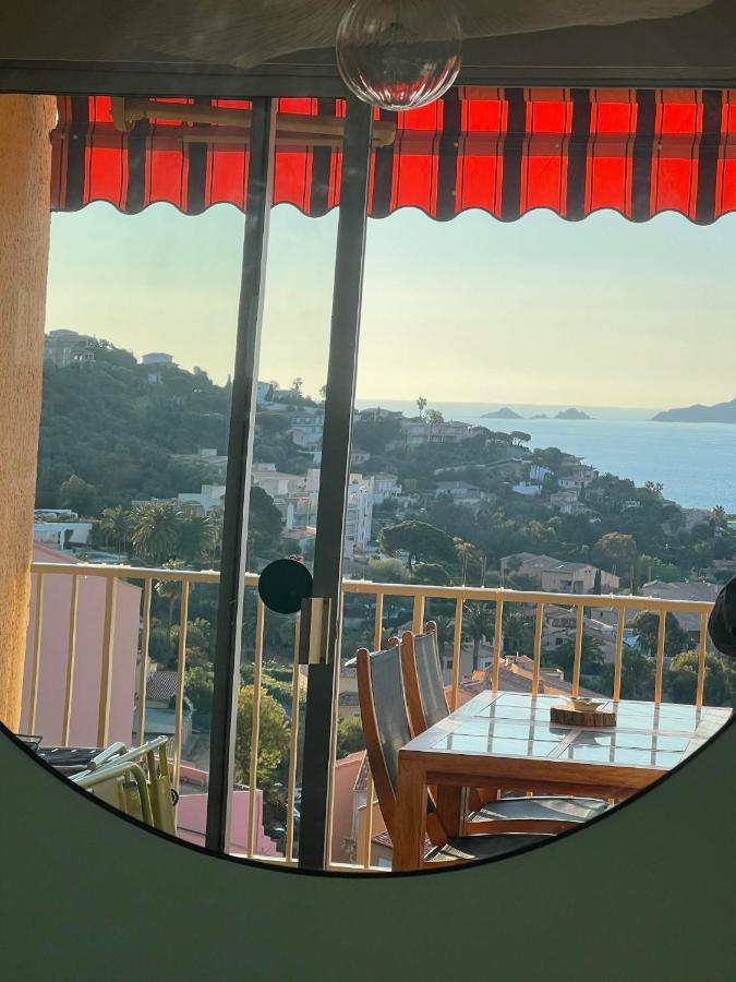 Super Appartement Vue Sanguinaires Ajaccio  Eksteriør bilde